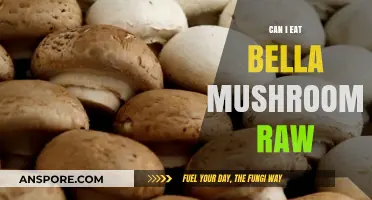 Can You Eat Bella Mushrooms Raw? Safety and Tips Explained