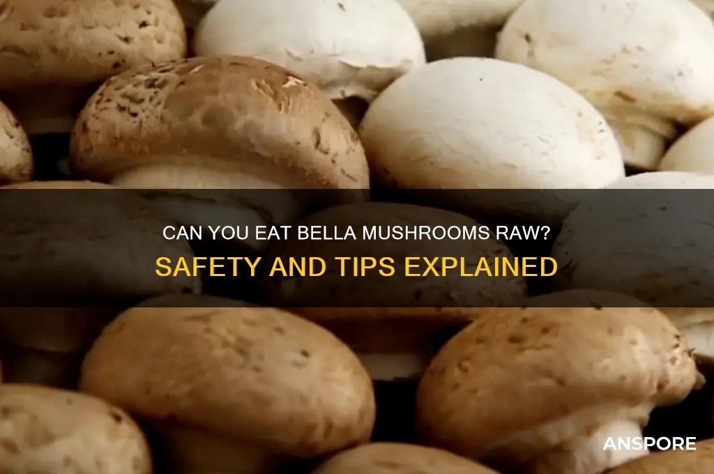 can i eat bella mushrooms raw