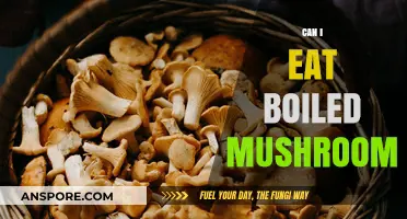 Can You Eat Boiled Mushrooms? Benefits, Risks, and Recipes