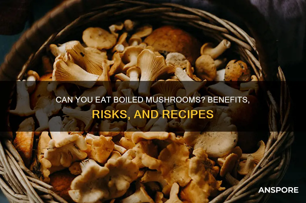 can i eat boiled mushroom
