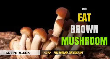 Can You Safely Eat Brown Mushrooms? A Quick Guide