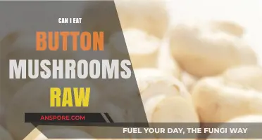 Can You Eat Button Mushrooms Raw? Safety and Tips Explained