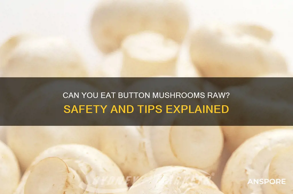 can i eat button mushrooms raw