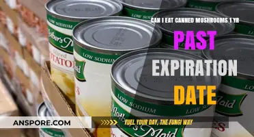 Eating Canned Mushrooms Past Expiration: Safe or Risky After a Year?