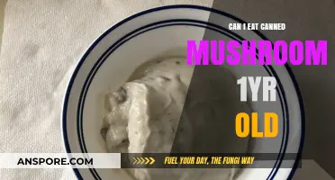 Are Year-Old Canned Mushrooms Safe to Eat? Expert Advice