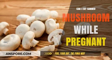 Pregnancy and Canned Mushrooms: Safe or Not? Expert Advice