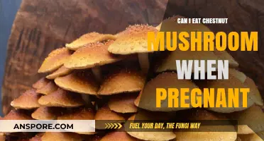 Chestnut Mushrooms During Pregnancy: Safe or Not?