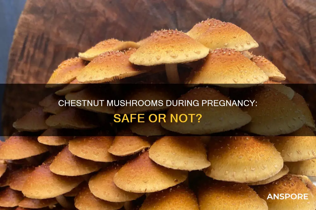 can i eat chestnut mushrooms when pregnant