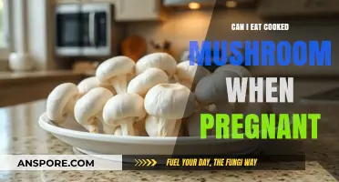 Pregnancy and Cooked Mushrooms: Safe or Not? Expert Advice