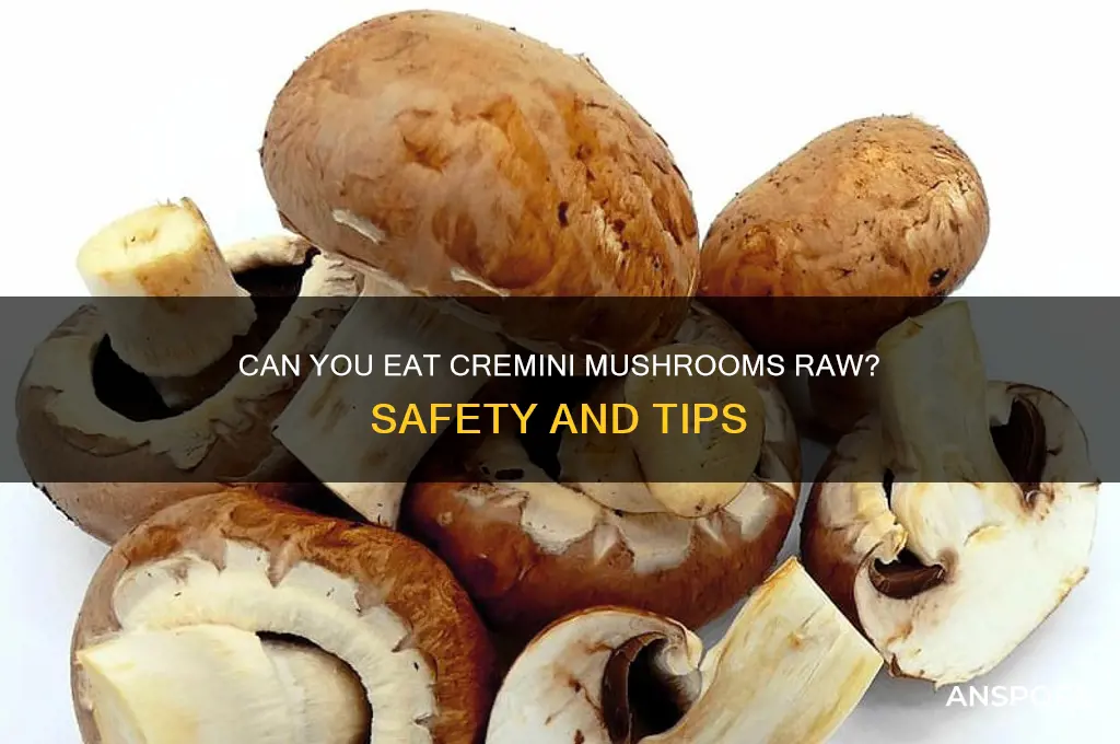 can i eat cremini mushrooms raw