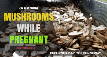 Pregnancy and Crimini Mushrooms: Safe to Eat or Not?