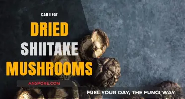 Can You Eat Dried Shiitake Mushrooms? Benefits and Preparation Tips