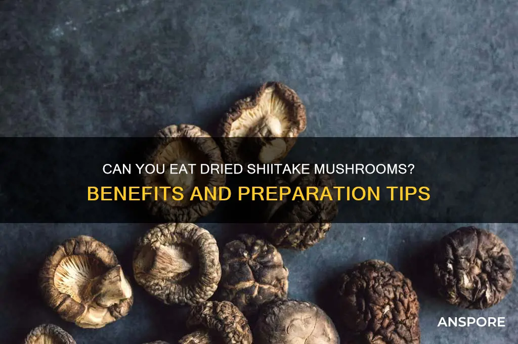 can i eat dried shiitake mushrooms