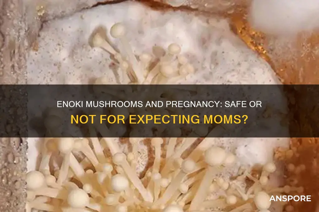 can i eat enoki mushrooms when pregnant