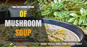 Is Expired Cream of Mushroom Soup Safe to Eat?