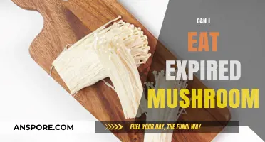 Expired Mushrooms: Safe to Eat or Toss? Expert Advice
