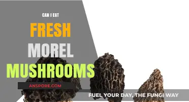 Can You Eat Fresh Morel Mushrooms? A Safe Foraging Guide