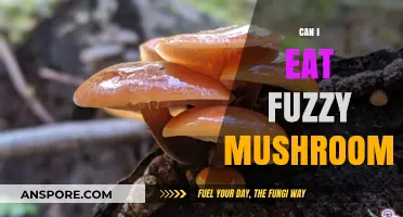 Fuzzy Mushrooms: Safe to Eat or Toxic Threat?