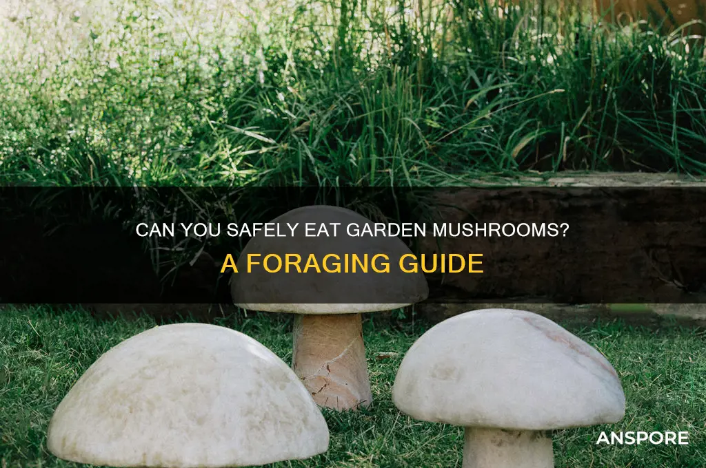 can i eat garden mushrooms