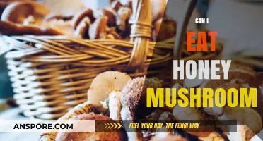 Can You Safely Eat Honey Mushrooms? A Foraging Guide
