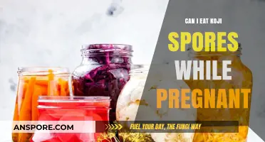 Pregnancy and Koji Spores: Safe to Eat or Best Avoided?