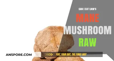 Can You Eat Lion's Mane Mushroom Raw? Benefits and Risks Explained