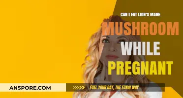 Pregnancy and Lion's Mane Mushrooms: Safe to Eat or Not?