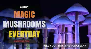 Daily Magic Mushroom Use: Risks, Benefits, and Long-Term Effects Explained