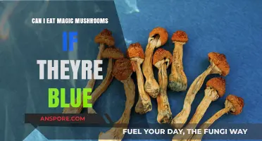 Are Blue Magic Mushrooms Safe to Eat? A Comprehensive Guide