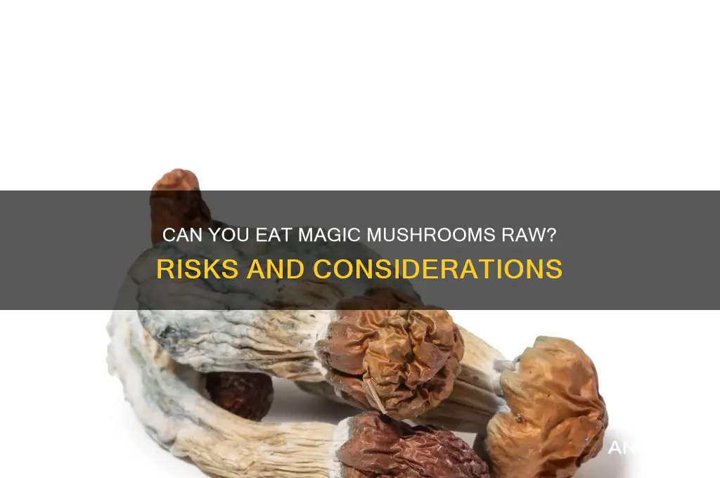 can i eat magic mushrooms raw