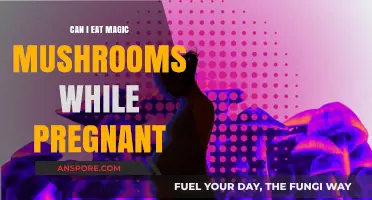 Pregnancy and Psilocybin: Risks of Eating Magic Mushrooms While Expecting