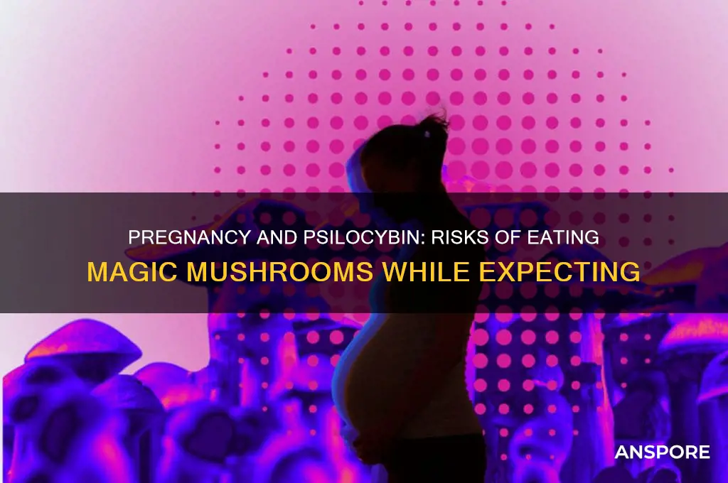 can i eat magic mushrooms while pregnant