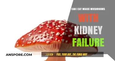 Magic Mushrooms and Kidney Failure: Safe Consumption or Risky Choice?