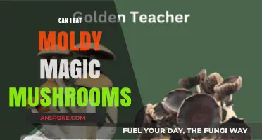 Risky Business: Eating Moldy Magic Mushrooms – Safe or Dangerous?