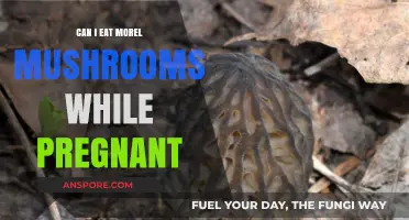 Pregnancy and Morel Mushrooms: Safe to Eat or Best Avoided?