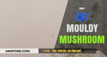 Mouldy Mushrooms: Safe to Eat or Health Hazard?