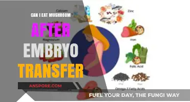 Mushrooms After Embryo Transfer: Safe or Risky for Fertility?