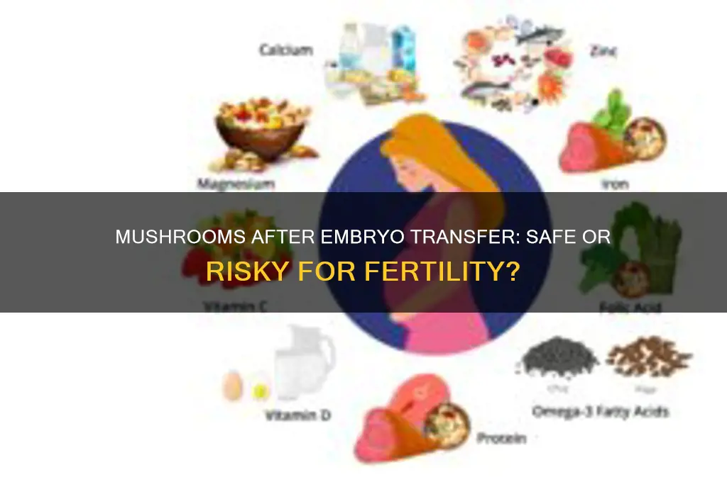 can i eat mushroom after embryo transfer