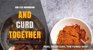 Mushroom and Curd Combo: Safe, Nutritious, or Culinary Mistake?