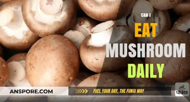 Daily Mushroom Consumption: Benefits, Risks, and Nutritional Insights
