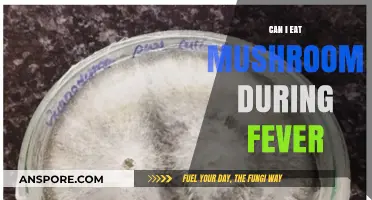Can You Eat Mushrooms During Fever? Nutrition and Recovery Tips