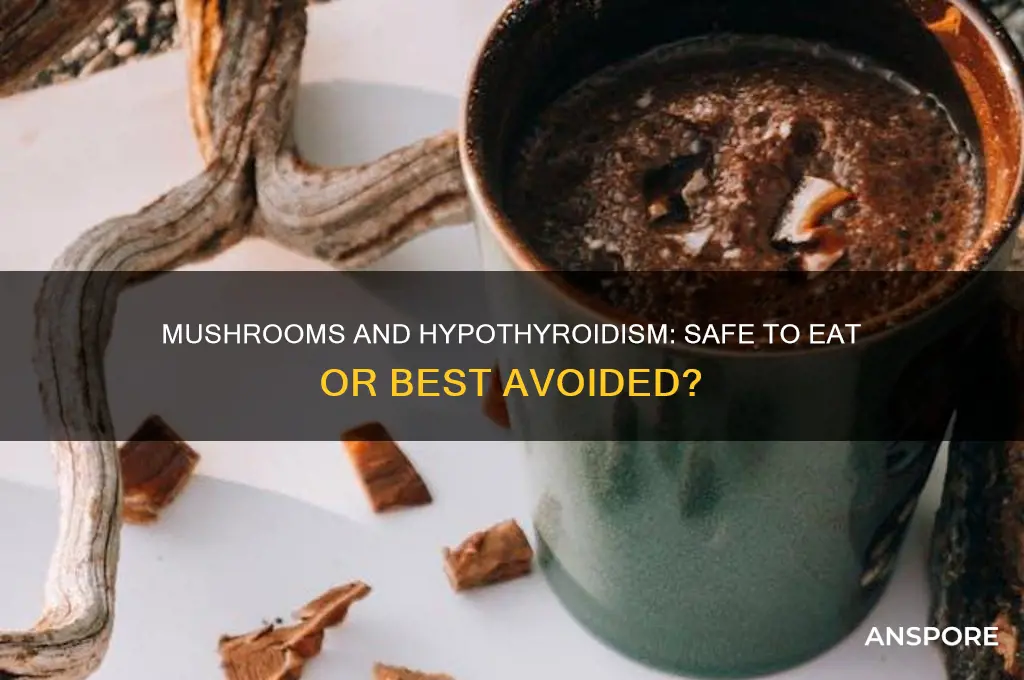 can i eat mushroom in hypothyroidism