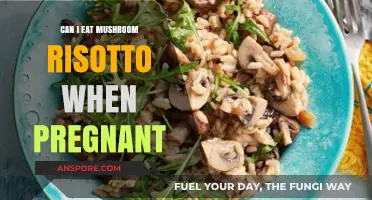 Pregnancy and Mushroom Risotto: Safe to Eat or Not?