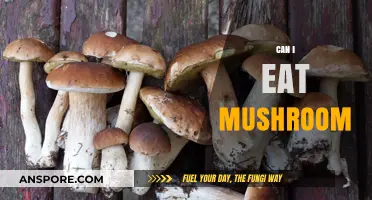 Can You Safely Eat Mushrooms? A Beginner's Guide to Edible Varieties
