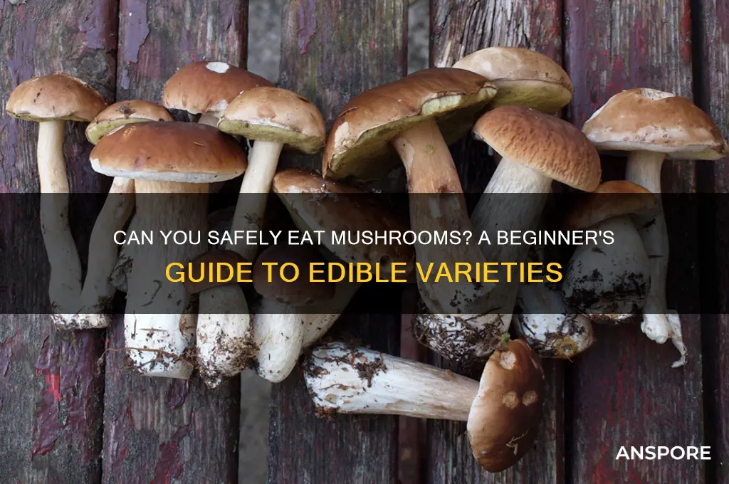 can i eat mushroom