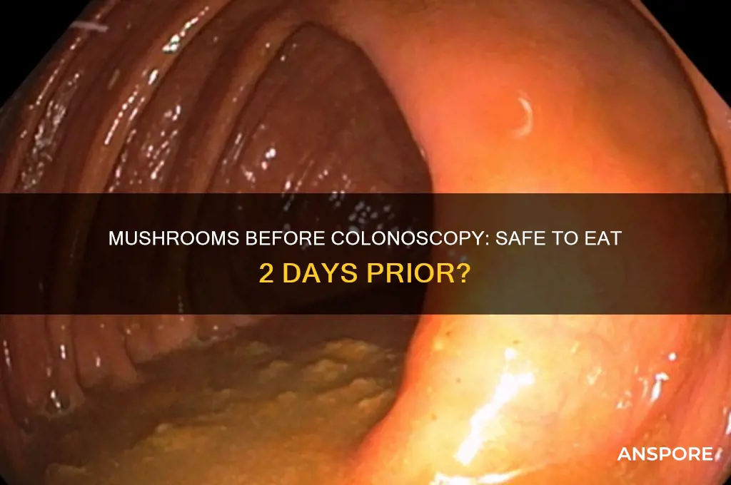 can i eat mushrooms 2 days before colonoscopy