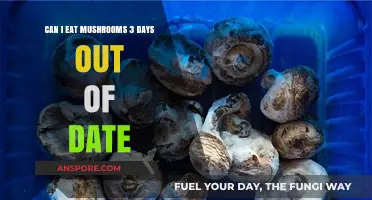 Are Expired Mushrooms Safe? Eating 3-Day-Old Fungi Explained