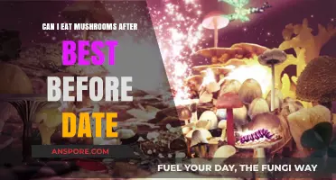 Can You Safely Eat Mushrooms After the Best Before Date?