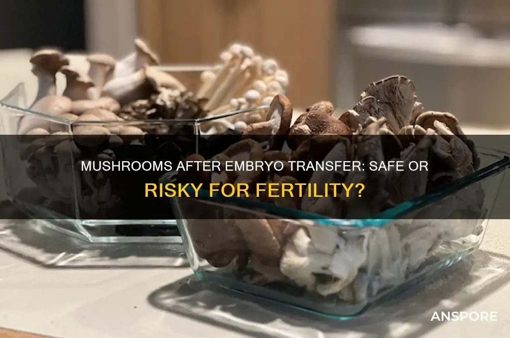 can i eat mushrooms after embryo transfer