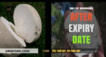 Expired Mushrooms: Safe to Eat or Toss After the Date?